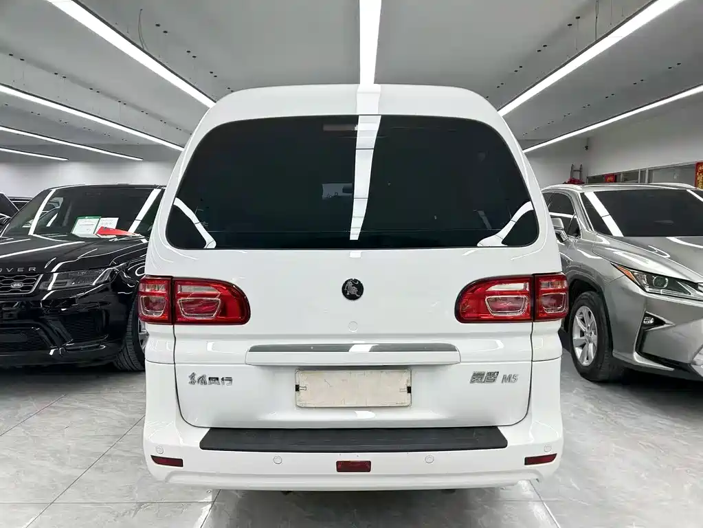 DONGFENG LINGZHI