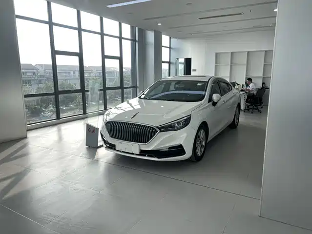 RED FLAG HONGQI H5 2019