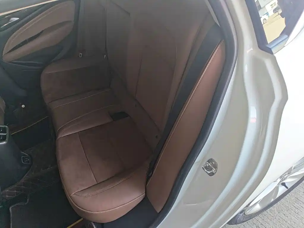 Buick Regal — миниатюра 17