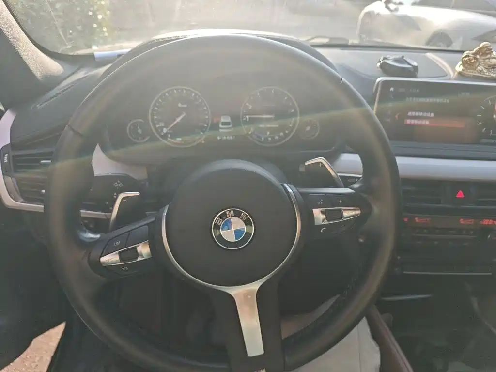 BMW X6 — миниатюра 6