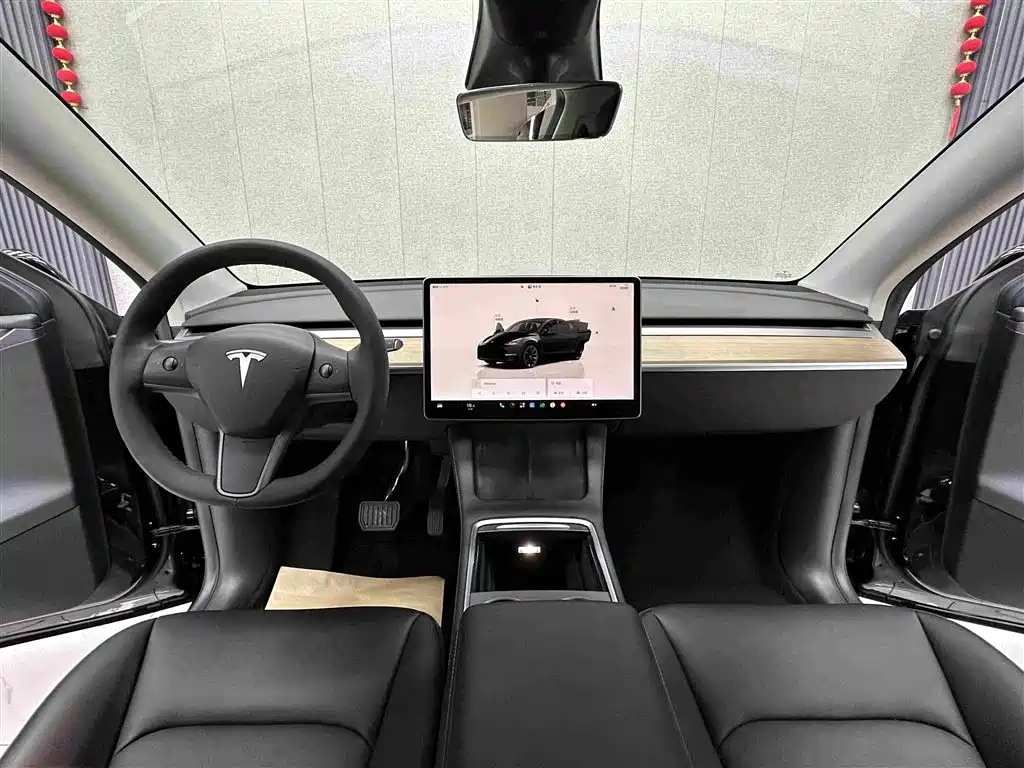 Tesla Model Y — миниатюра 11