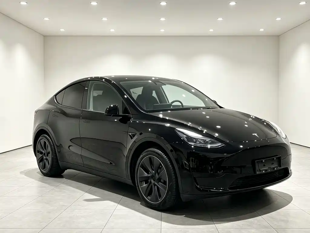Tesla Model Y 2023 RWD Drive Dynamic Edition