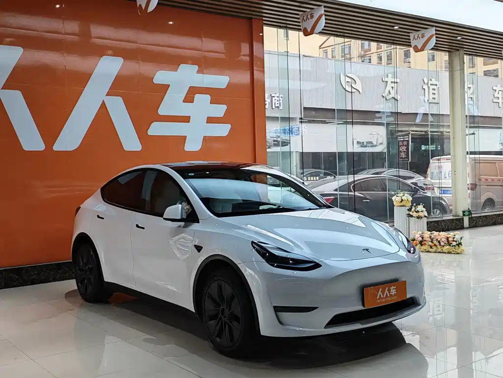 Tesla Model Y — миниатюра 3