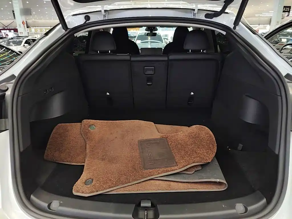 Tesla Model Y — миниатюра 19