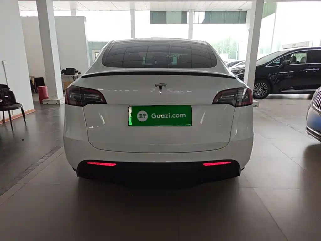 Tesla Model Y — миниатюра 6
