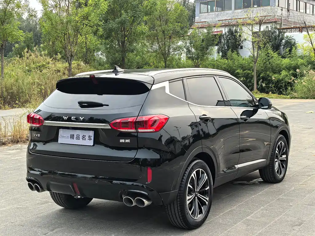 Wey Wey VV6 — миниатюра 6