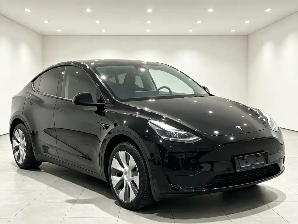 Tesla Model Y 2023 RWD Drive Dynamic Edition