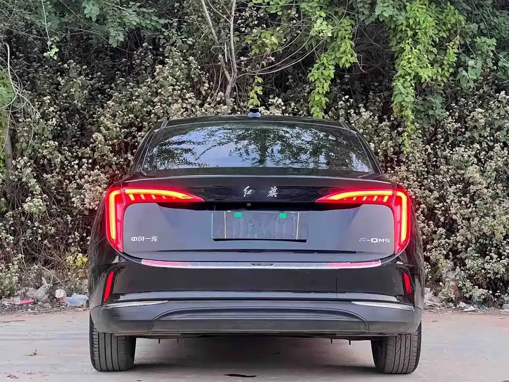 Hongqi Hongqi E-QM5 — миниатюра 7