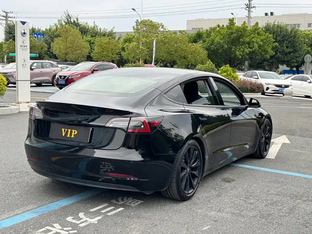 Tesla Model 3 — миниатюра 6