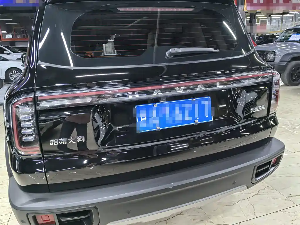 Haval Big Dog — миниатюра 5