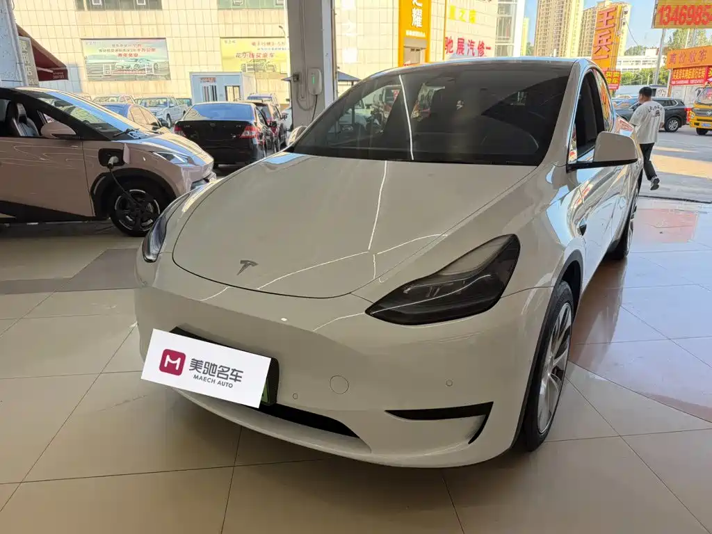 Tesla Model Y — миниатюра 3