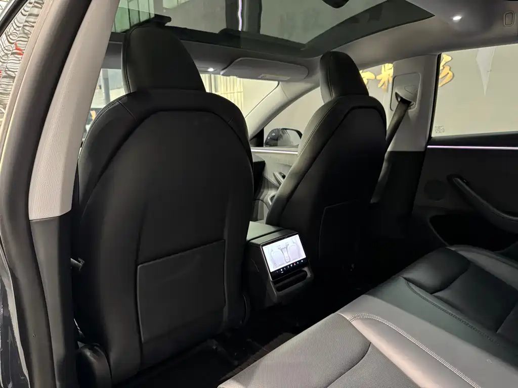 Tesla Model 3 — миниатюра 16