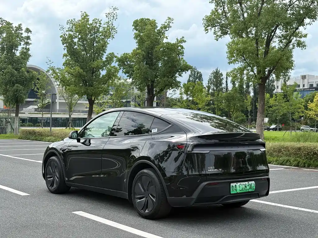 Tesla Model Y — миниатюра 6