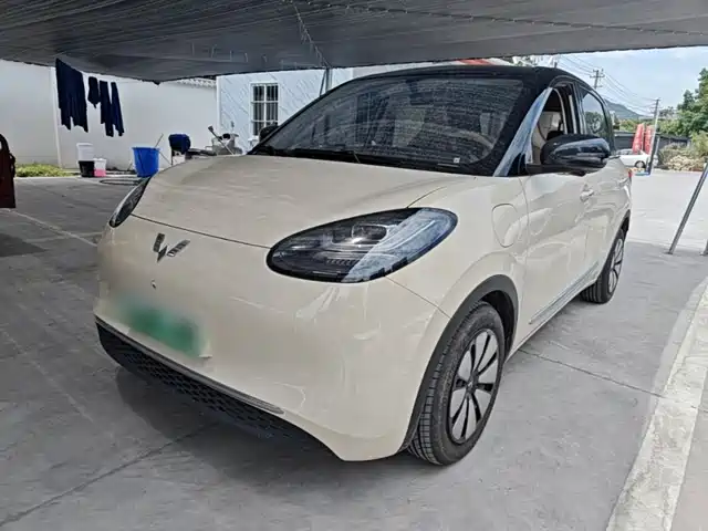 2025 Wuling Motors Binguo