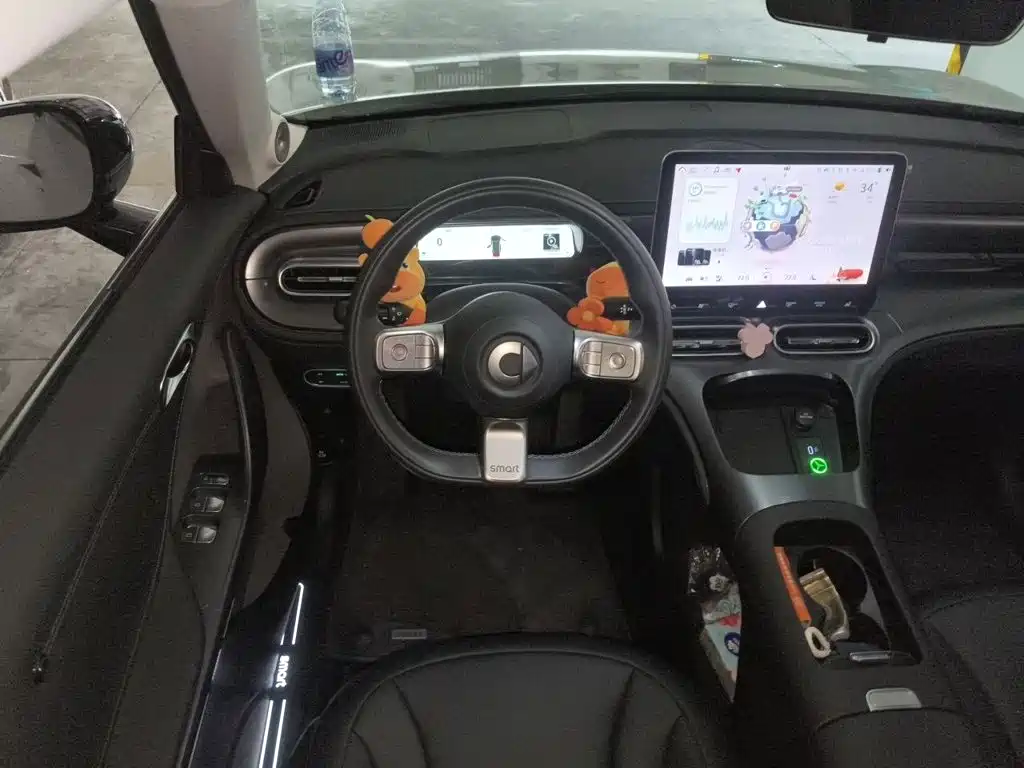 smart Smart #1 — миниатюра 11