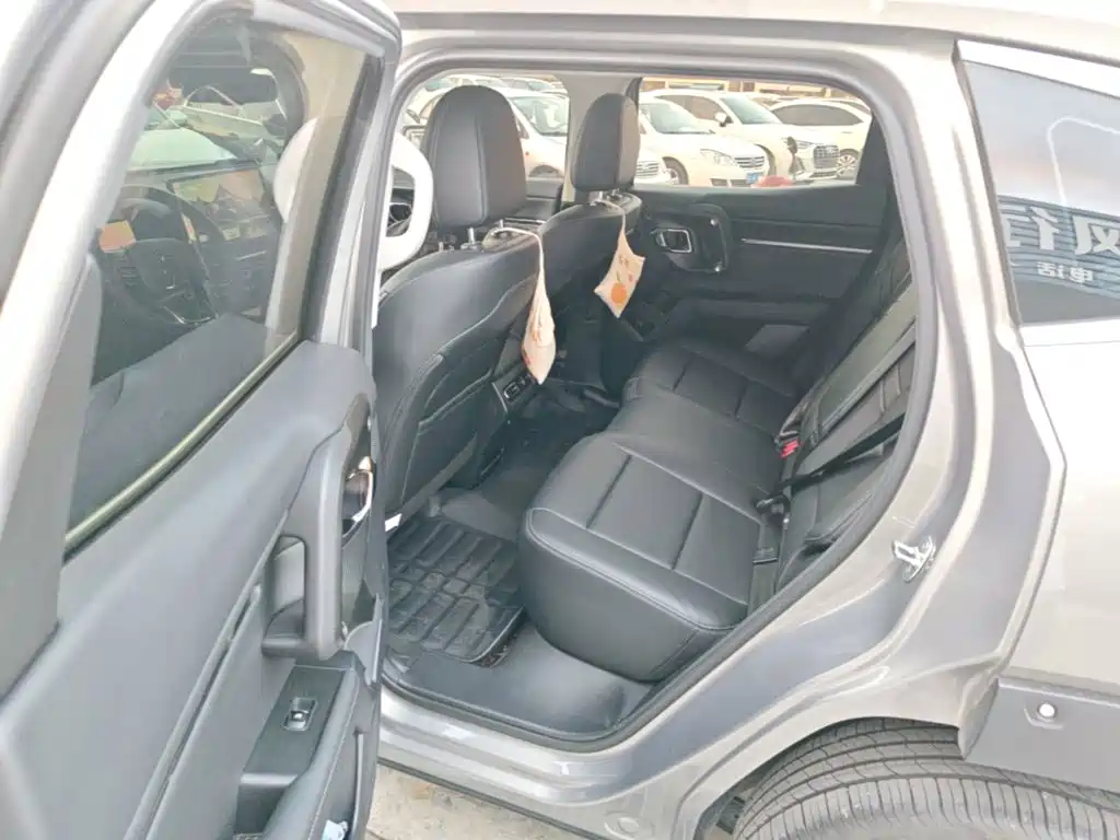 Haval Big Dog PLUS — миниатюра 17