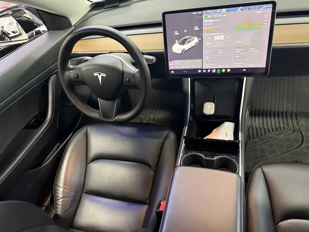 Tesla Model 3 — миниатюра 5