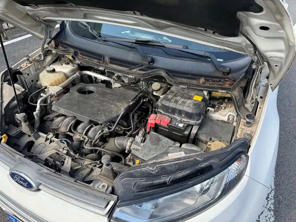 Ford Ecosport — миниатюра 12