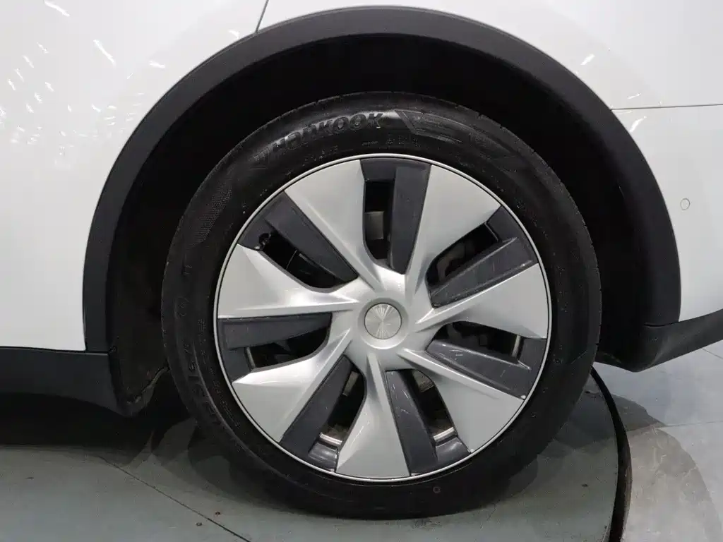 Tesla Model Y — миниатюра 18
