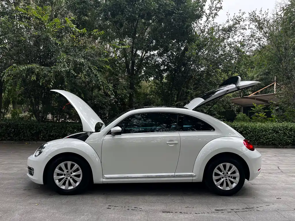 Volkswagen Beetle — миниатюра 6
