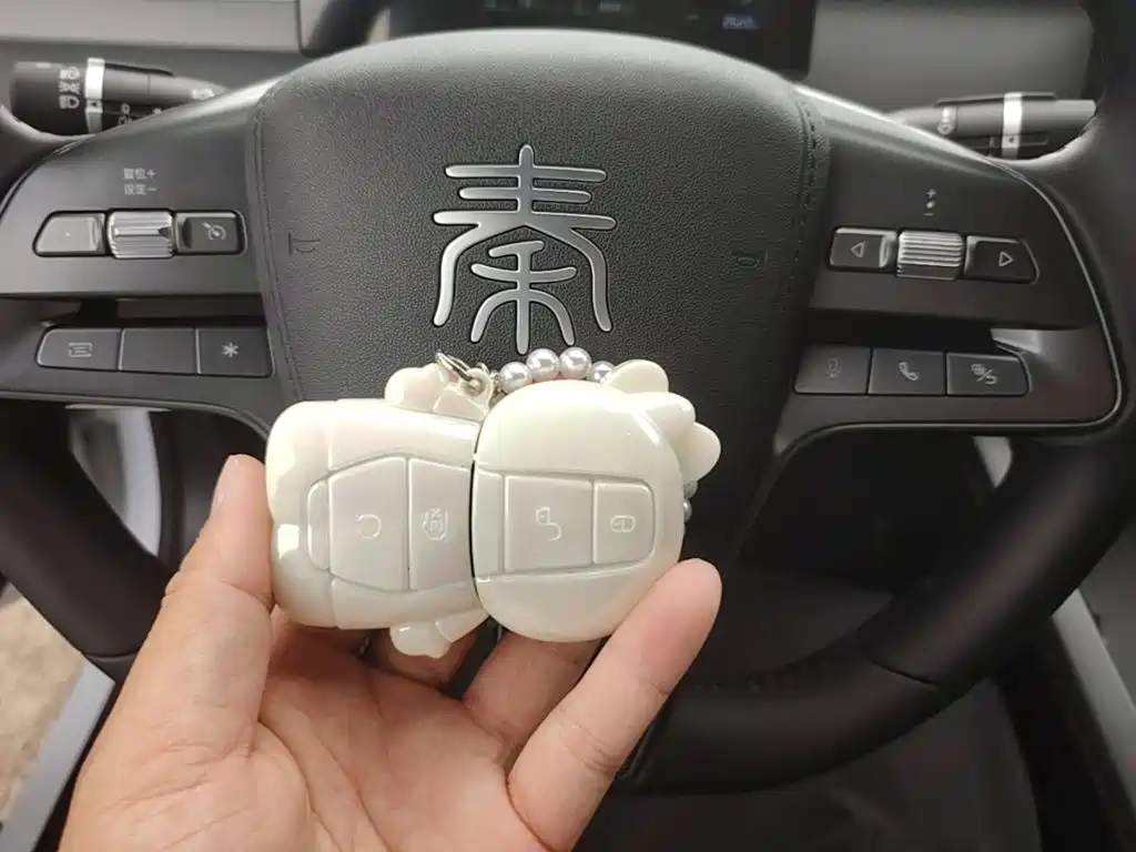 BYD Qin PLUS — миниатюра 9
