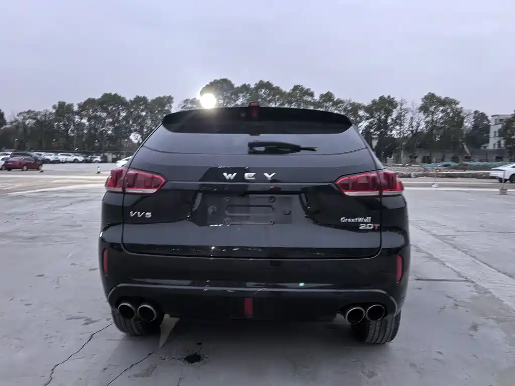 WEI PAI WEI BRAND VV5