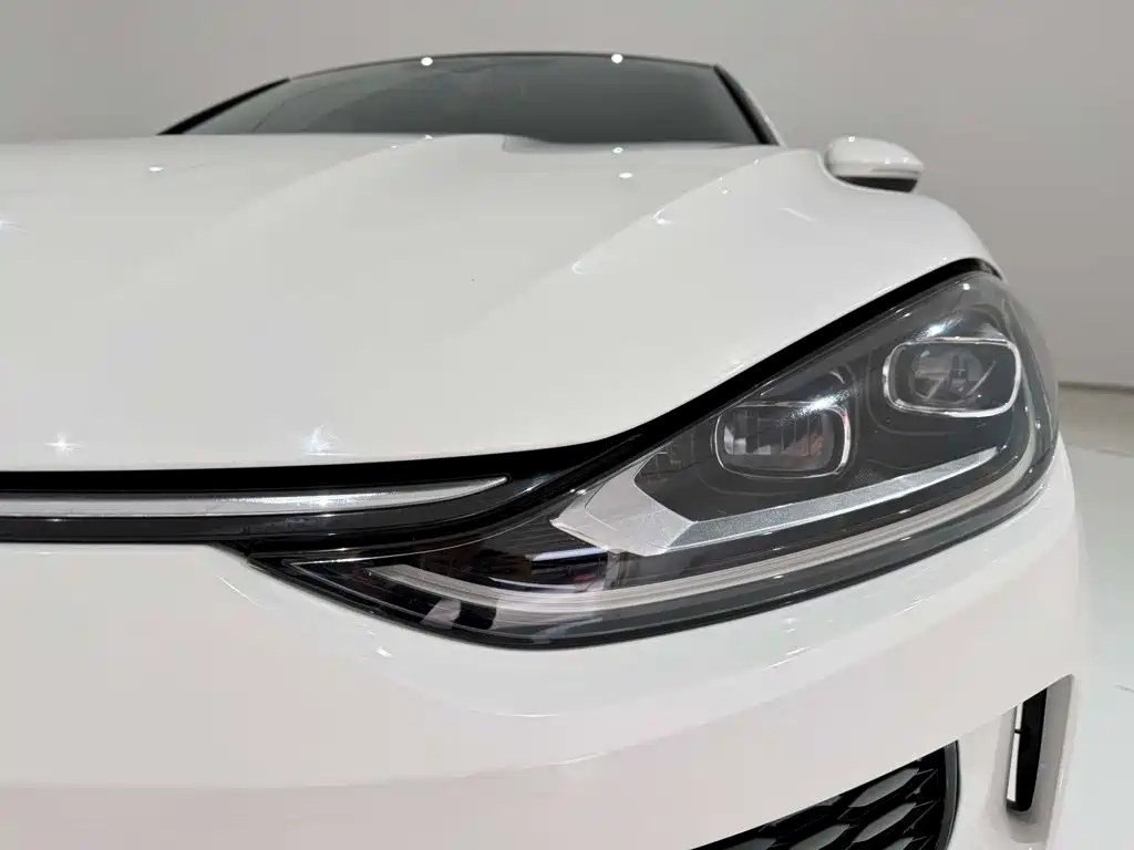 Volkswagen Lamando — миниатюра 9