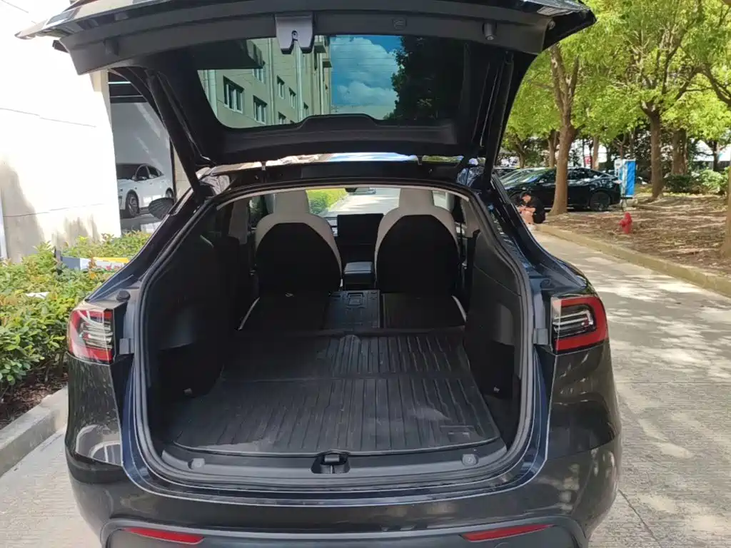 Tesla Model Y — миниатюра 19