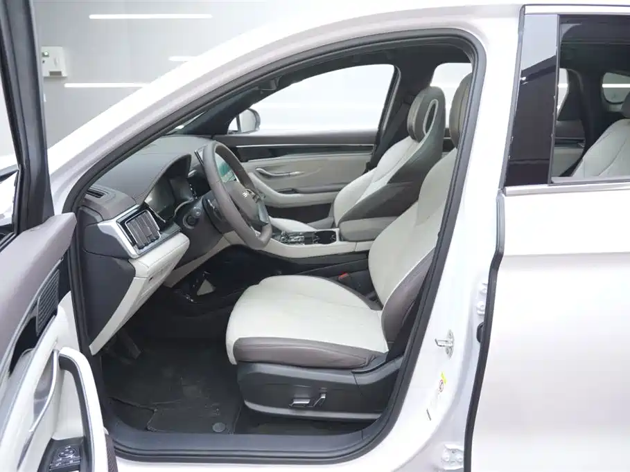 BYD SONGJIANG NEW ENERGY