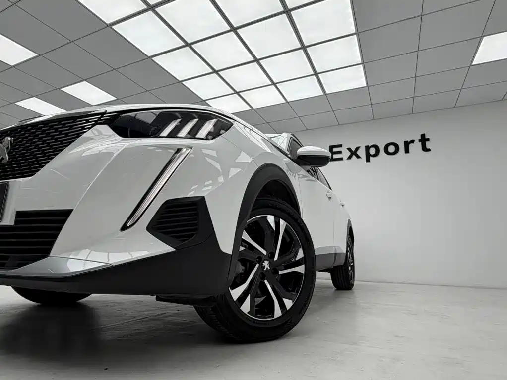 Peugeot 2008 230THP THE ONE, фото 11