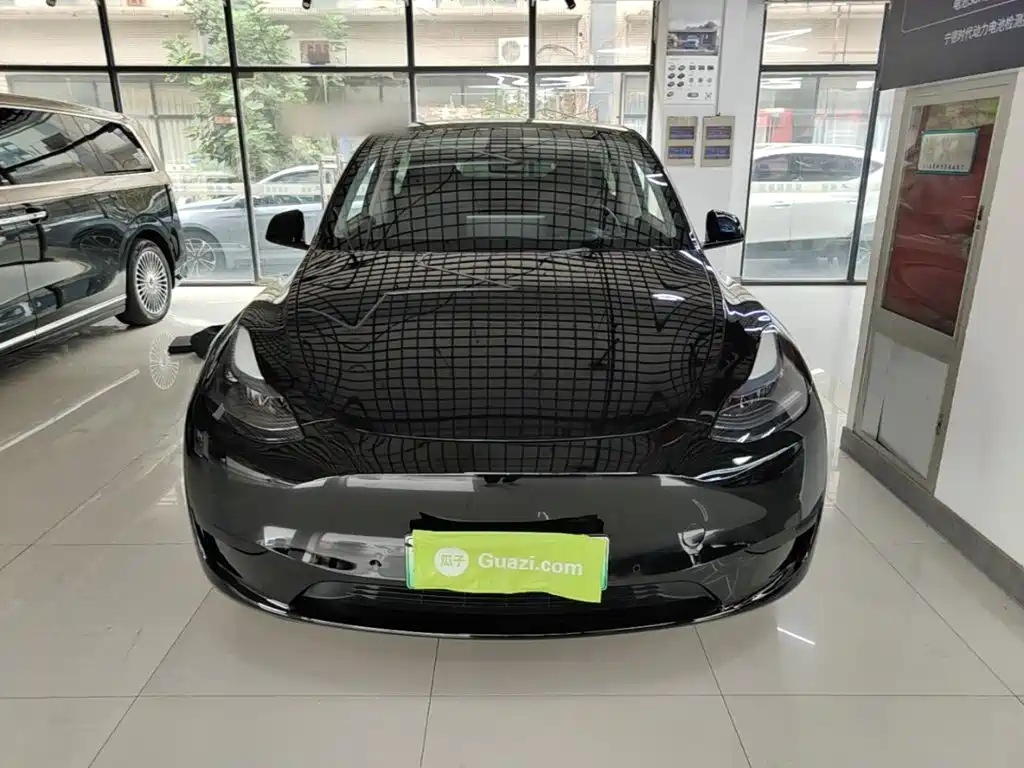 Tesla Model Y — миниатюра 3