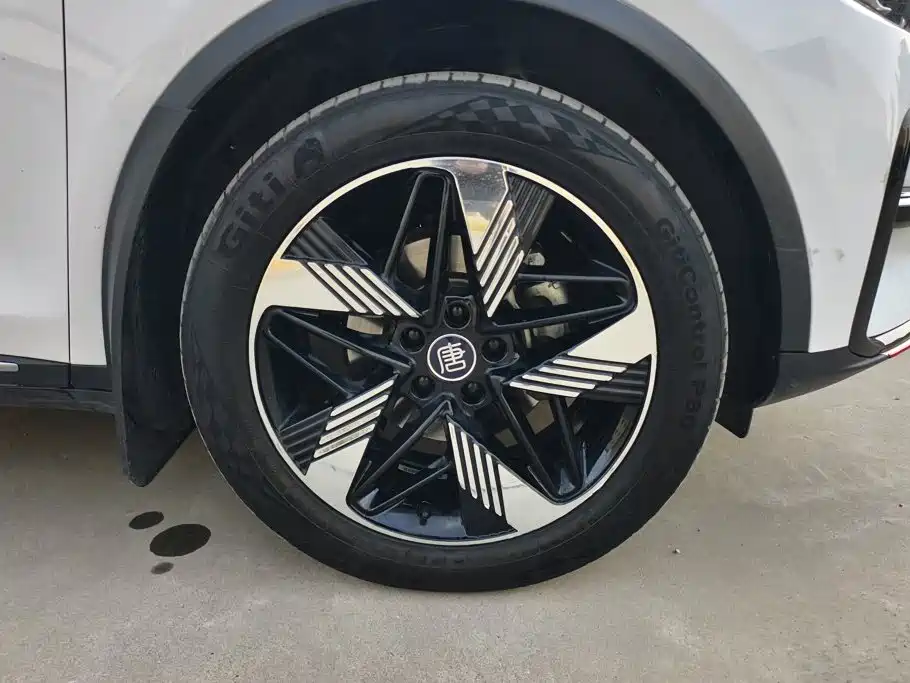 BYD Tang New Energy — миниатюра 6