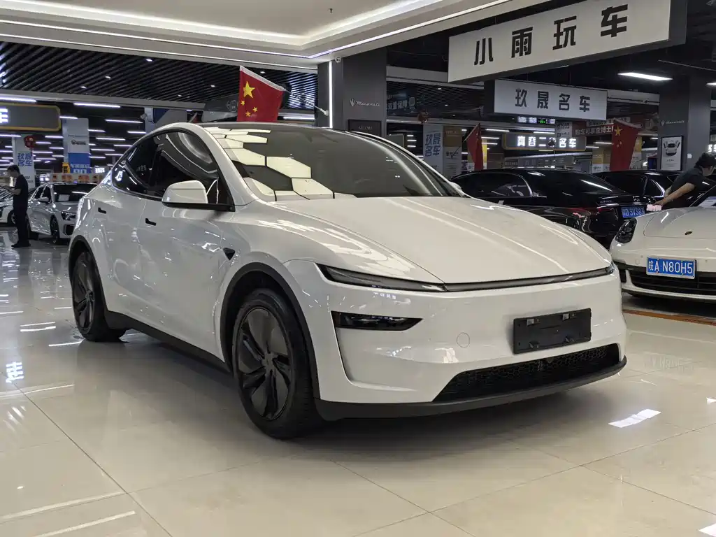 Tesla Model Y — миниатюра 3