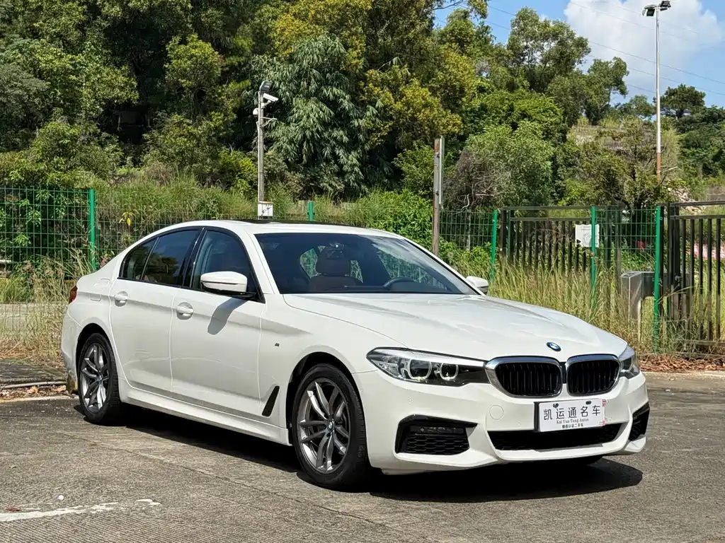 BMW 5 Series (Import) — миниатюра 2