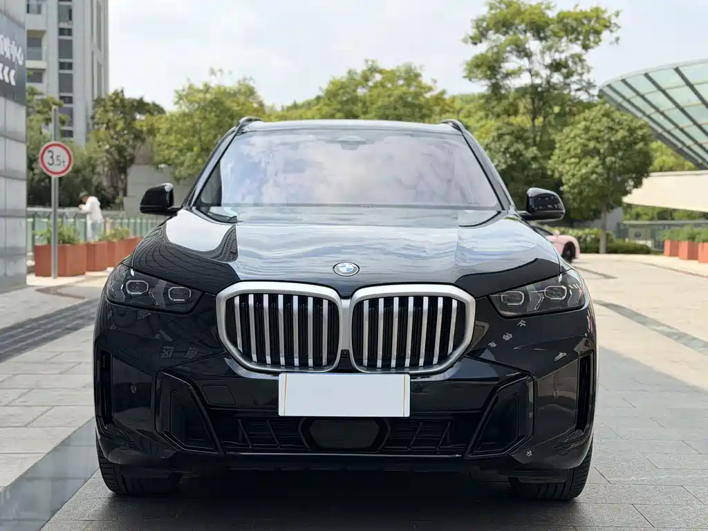 BMW X5 — миниатюра 2