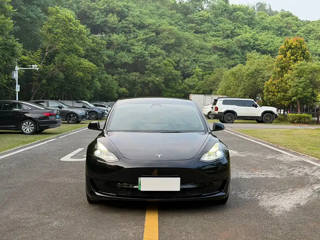 Tesla Model 3 — миниатюра 2