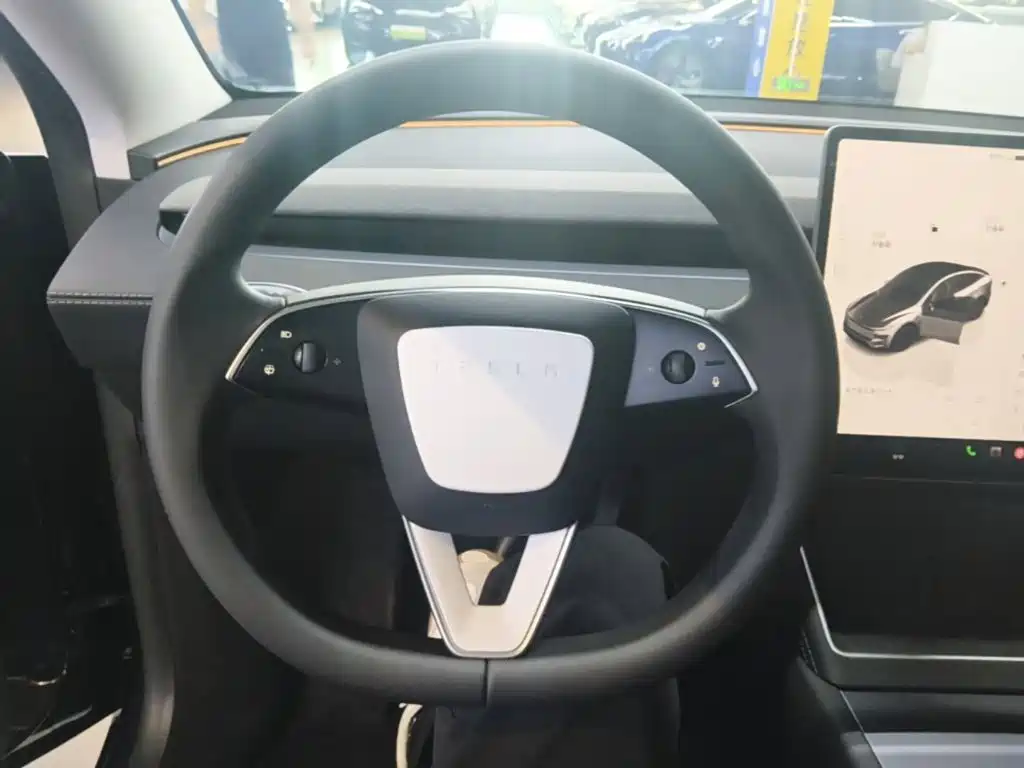 Tesla Model Y — миниатюра 11