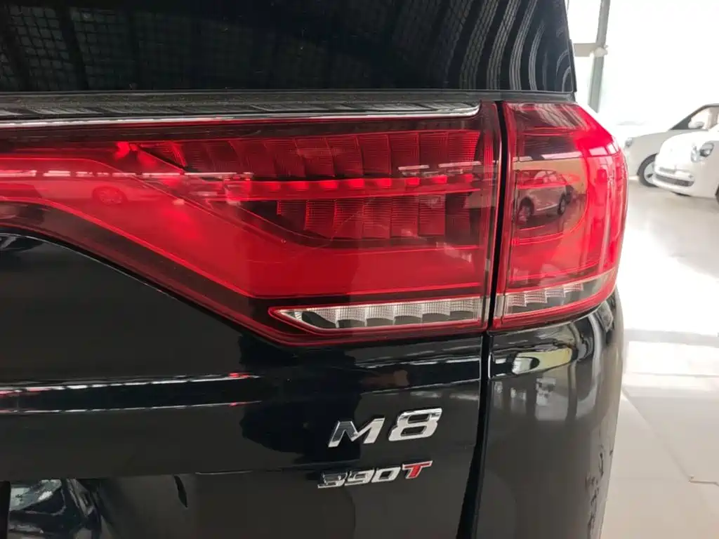 GAC Motor Trumpchi M8 — миниатюра 8