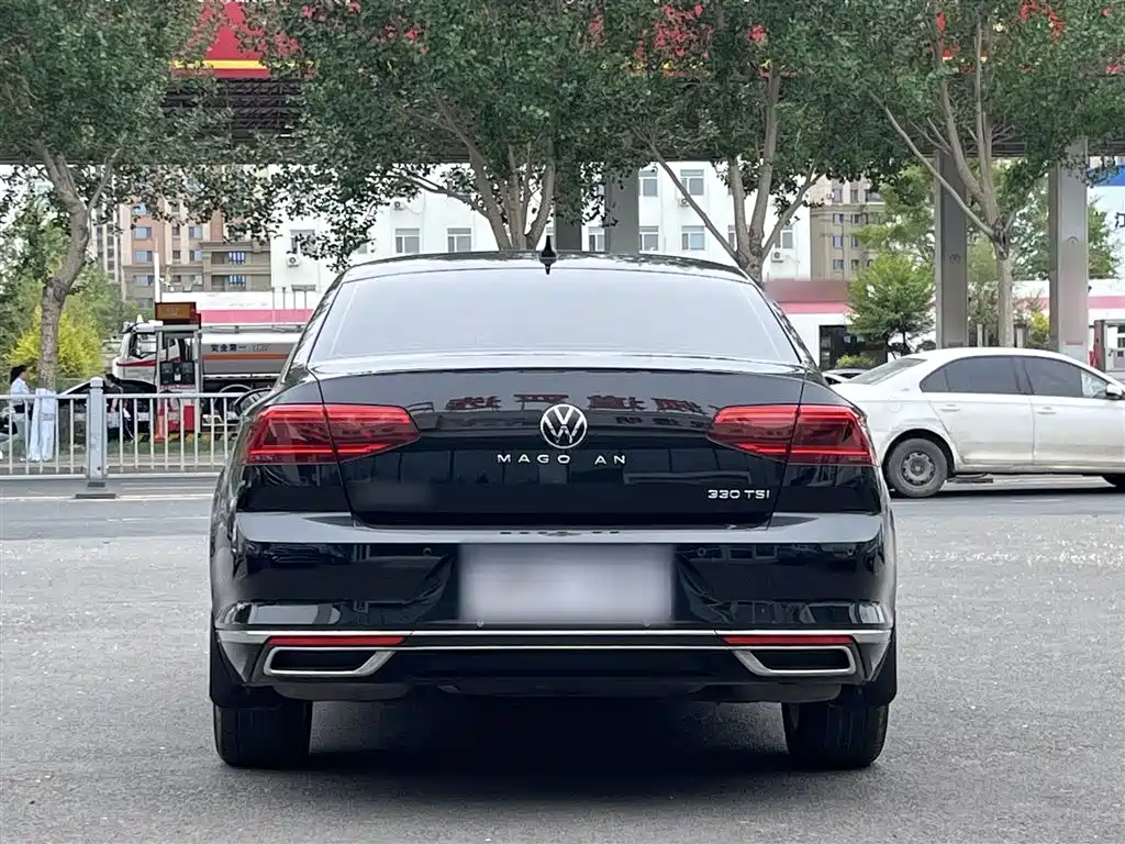 Volkswagen Magotan 2020 330TSI DSG Luxury