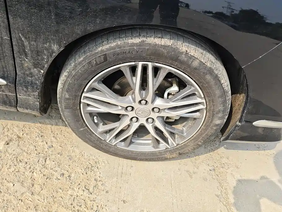 Honda Elysion — миниатюра 6