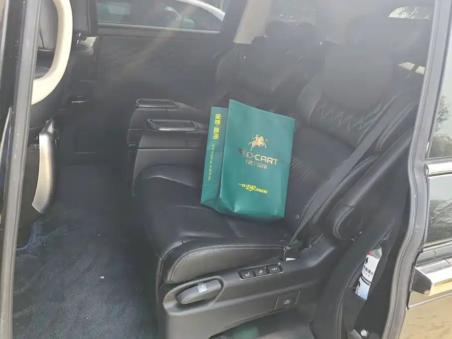 Honda Elysion — миниатюра 11