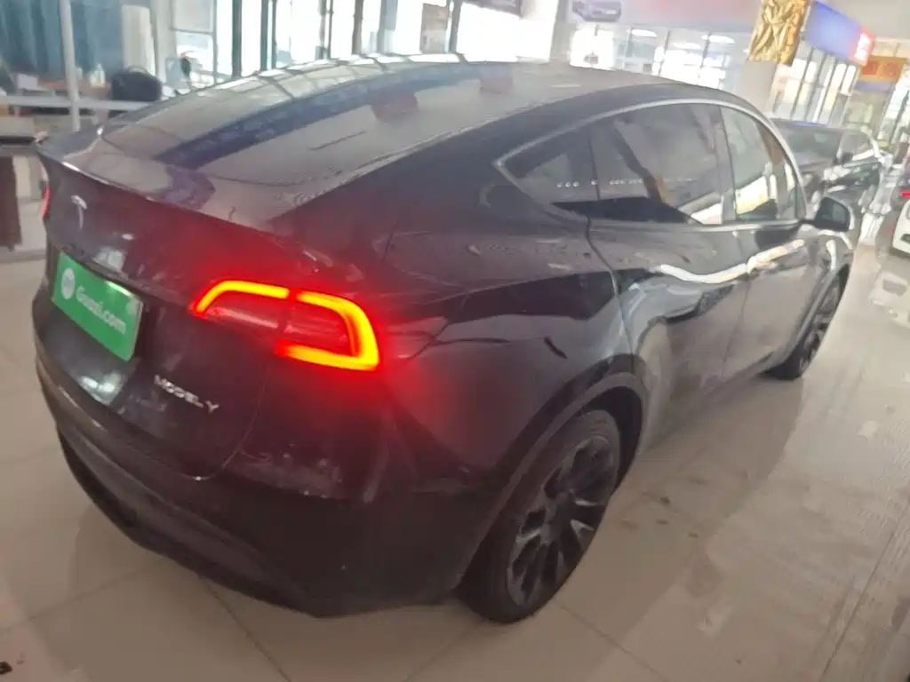 Tesla Model Y — миниатюра 7