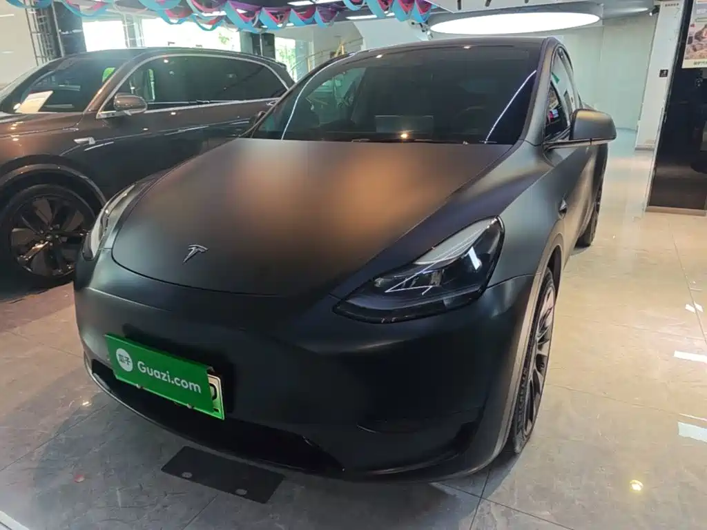 Tesla Model Y — миниатюра 2