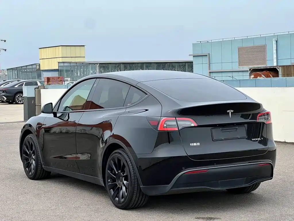 Tesla Model Y — миниатюра 2