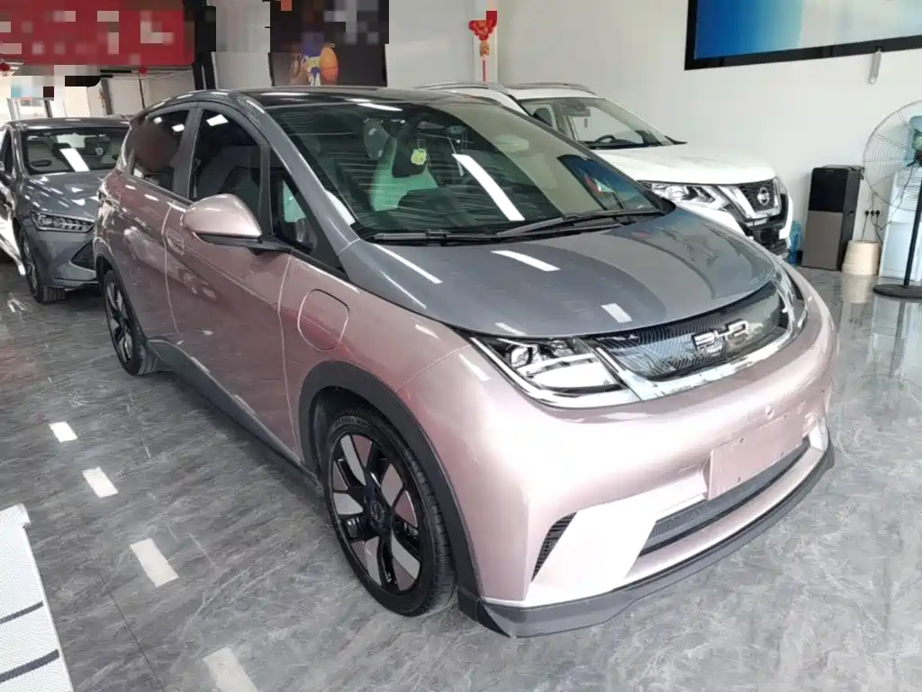 BYD Dolphin — миниатюра 4