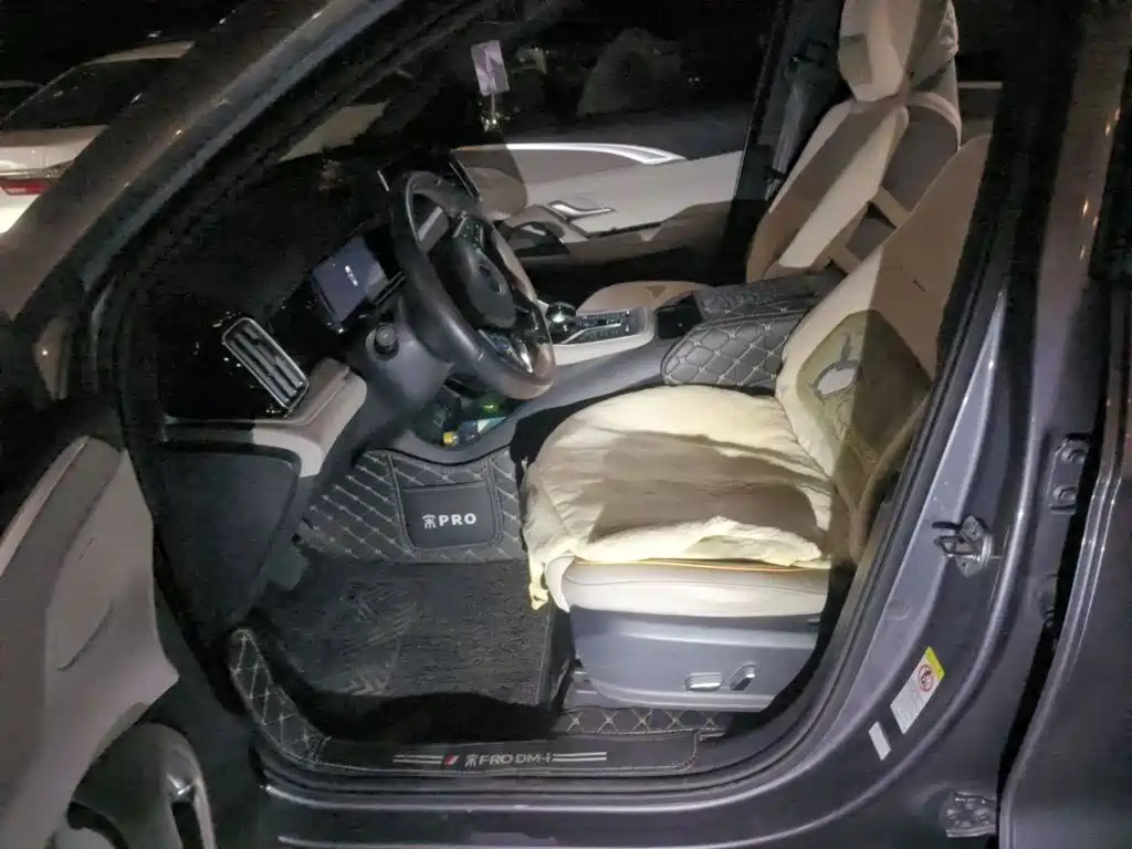 BYD Pro New Energy — миниатюра 16