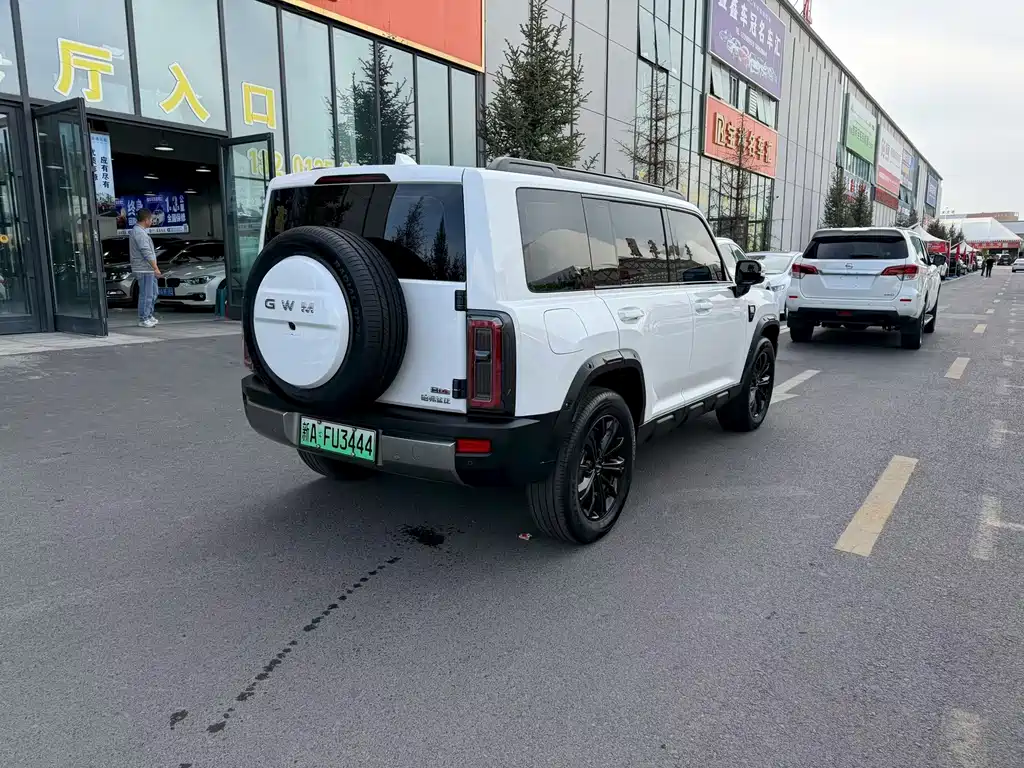 Haval Menglong New Energy — миниатюра 9