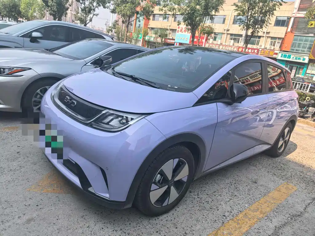 BYD Dolphin