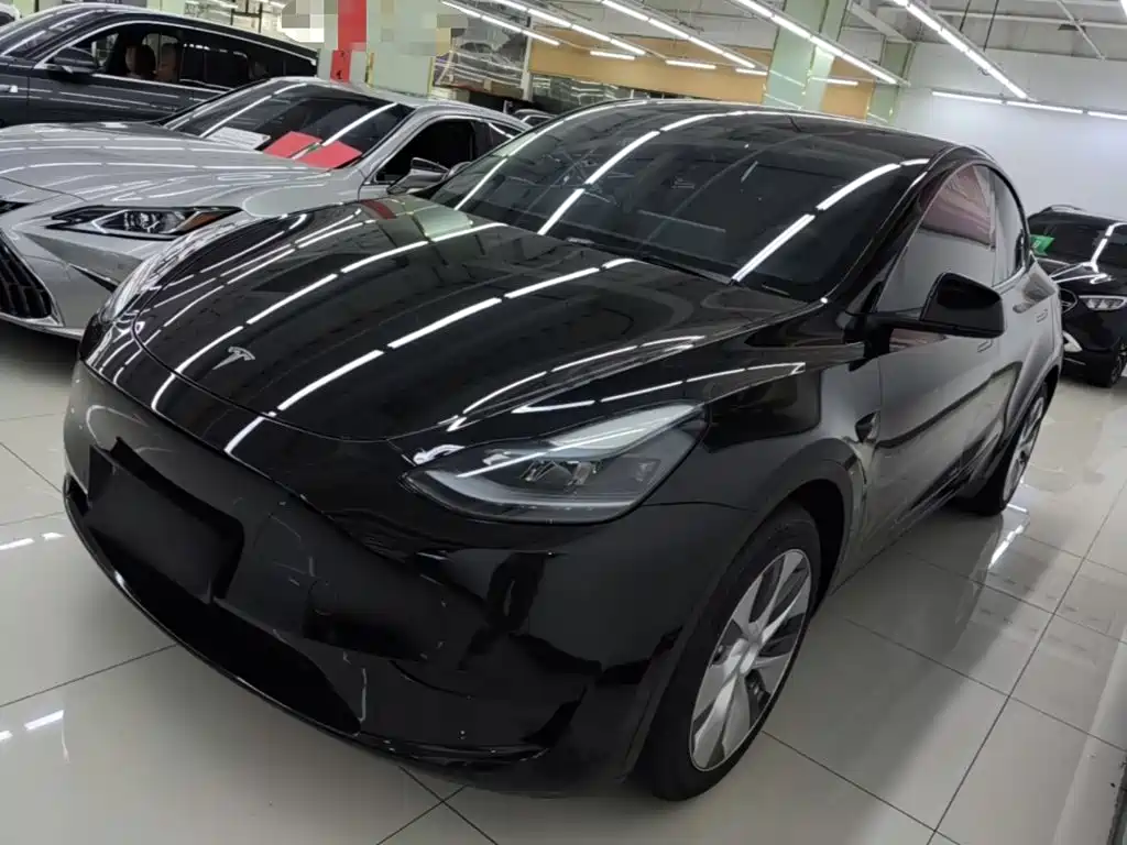 Tesla Model Y — миниатюра 2