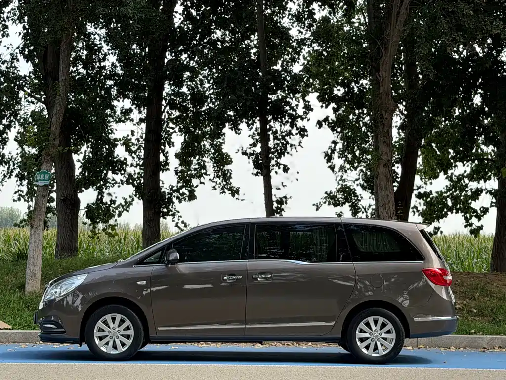 Buick GL8 — миниатюра 3
